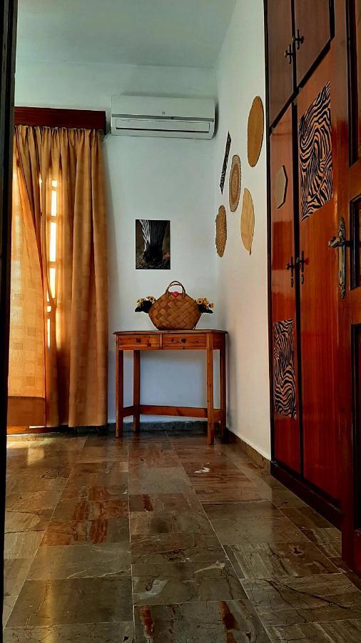 Sidárion Serengeti Nap Comfy Rooms المظهر الخارجي الصورة