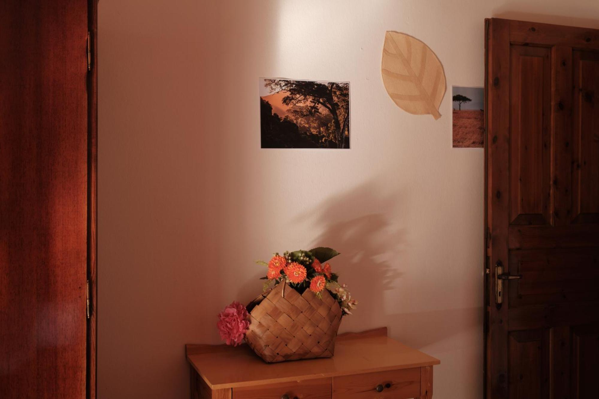 Sidárion Serengeti Nap Comfy Rooms الغرفة الصورة